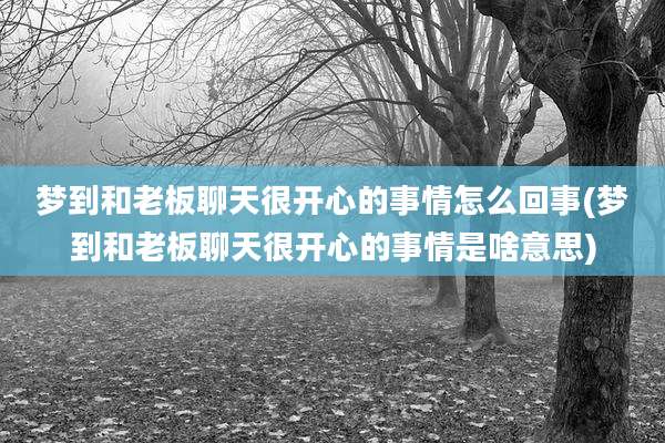 梦到和老板聊天很开心的事情怎么回事(梦到和老板聊天很开心的事情是啥意思)