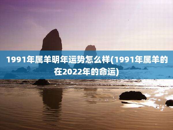 1991年属羊明年运势怎么样(1991年属羊的在2022年的命运)