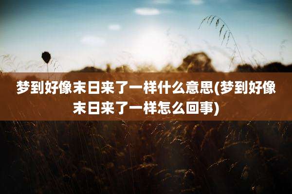 梦到好像末日来了一样什么意思(梦到好像末日来了一样怎么回事)