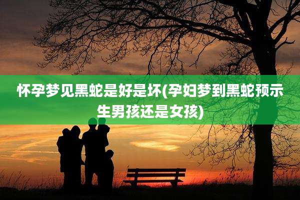 怀孕梦见黑蛇是好是坏(孕妇梦到黑蛇预示生男孩还是女孩)