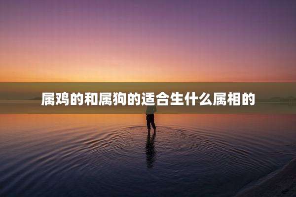 属鸡的和属狗的适合生什么属相的