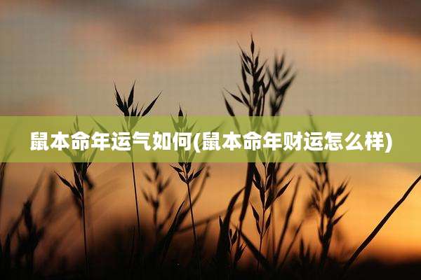 鼠本命年运气如何(鼠本命年财运怎么样)