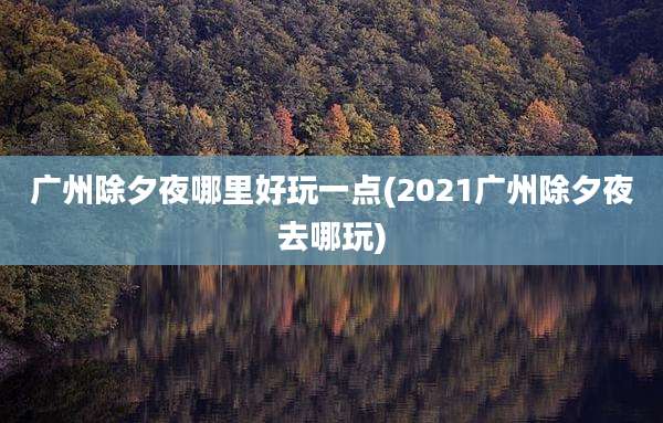 广州除夕夜哪里好玩一点(2021广州除夕夜去哪玩)