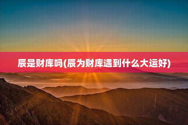 辰是财库吗(辰为财库遇到什么大运好)
