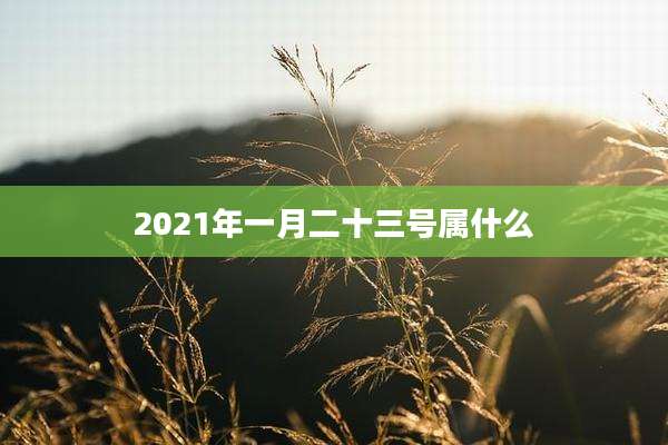 2021年一月二十三号属什么