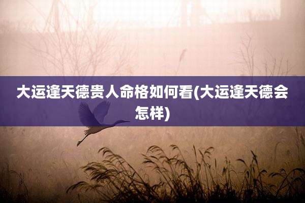 大运逢天德贵人命格如何看(大运逢天德会怎样)