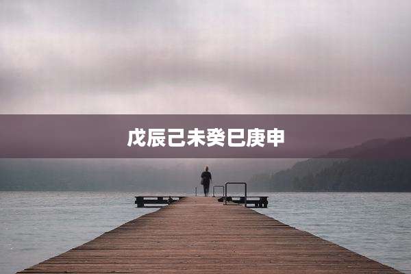 戊辰己未癸巳庚申