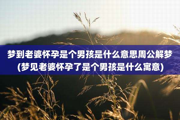 梦到老婆怀孕是个男孩是什么意思周公解梦(梦见老婆怀孕了是个男孩是什么寓意)