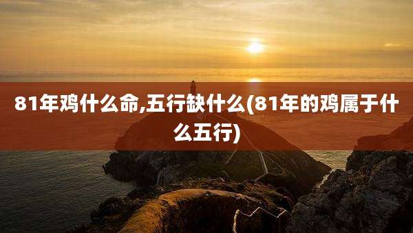 81年鸡什么命,五行缺什么(81年的鸡属于什么五行)