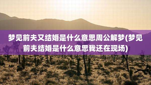 梦见前夫又结婚是什么意思周公解梦(梦见前夫结婚是什么意思我还在现场)