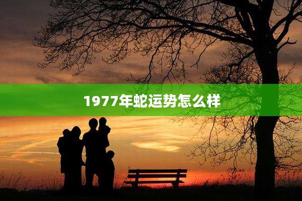 1977年蛇运势怎么样