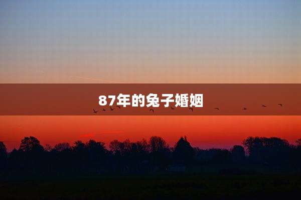 87年的兔子婚姻