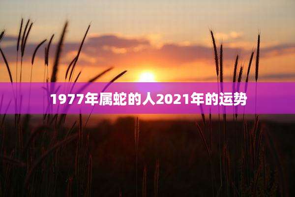 1977年属蛇的人2021年的运势