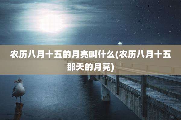 农历八月十五的月亮叫什么(农历八月十五那天的月亮)