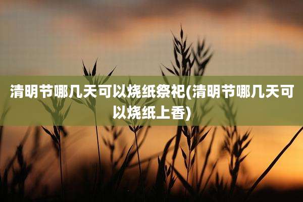 清明节哪几天可以烧纸祭祀(清明节哪几天可以烧纸上香)