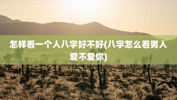 怎样看一个人八字好不好(八字怎么看男人爱不爱你)