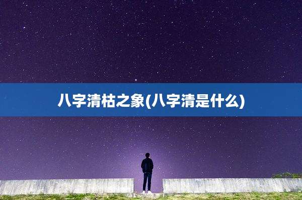 八字清枯之象(八字清是什么)