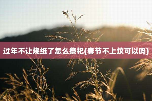 过年不让烧纸了怎么祭祀(春节不上坟可以吗)
