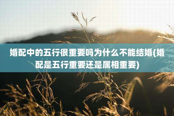 婚配中的五行很重要吗为什么不能结婚(婚配是五行重要还是属相重要)
