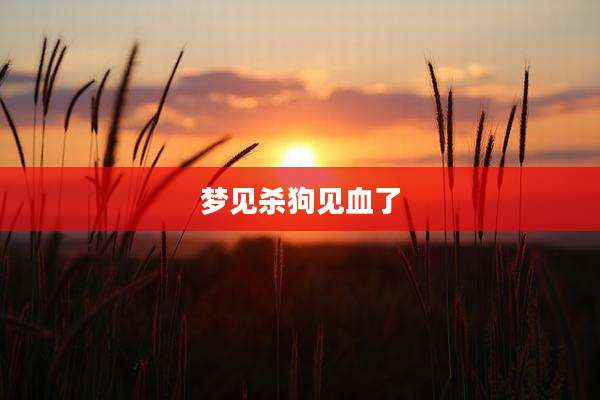 梦见杀狗见血了