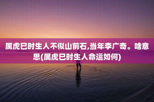 属虎巳时生人不似山前石,当年李广奇。啥意思(属虎巳时生人命运如何)