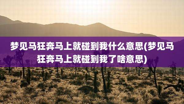梦见马狂奔马上就碰到我什么意思(梦见马狂奔马上就碰到我了啥意思)