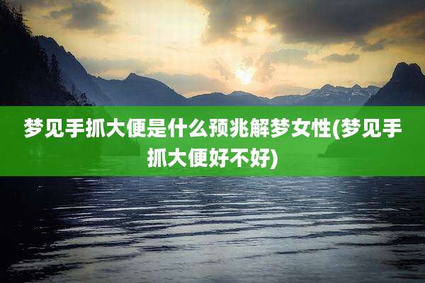 梦见手抓大便是什么预兆解梦女性(梦见手抓大便好不好)