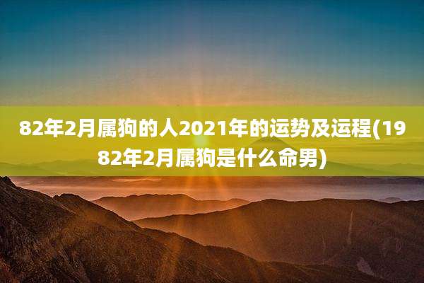 82年2月属狗的人2021年的运势及运程(1982年2月属狗是什么命男)