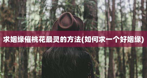 求姻缘催桃花最灵的方法(如何求一个好姻缘)