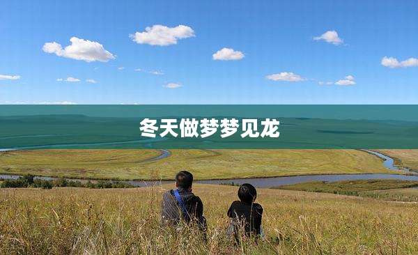 冬天做梦梦见龙