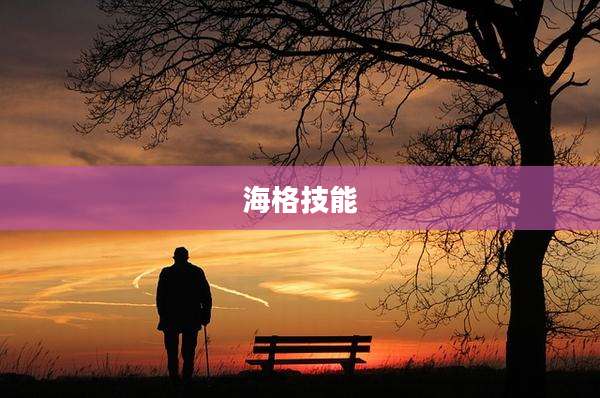 海格技能