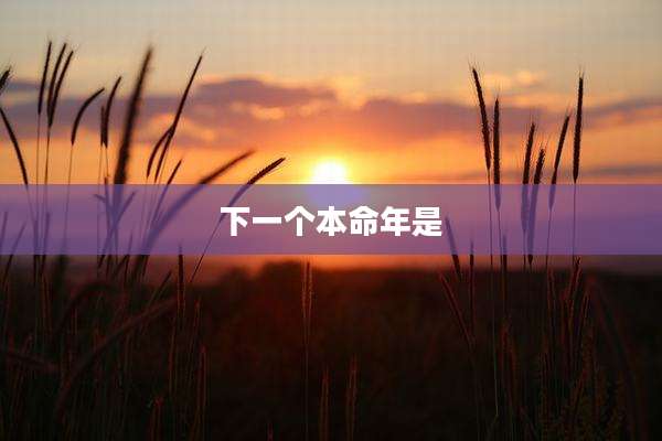 下一个本命年是