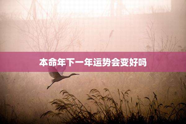 本命年下一年运势会变好吗