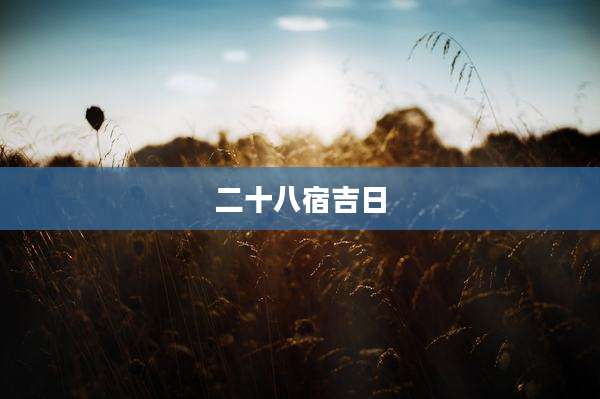 二十八宿吉日