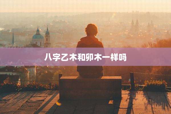 八字乙木和卯木一样吗