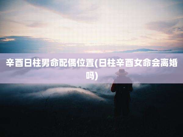 辛酉日柱男命配偶位置(日柱辛酉女命会离婚吗)