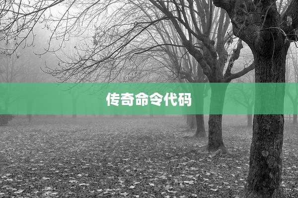 传奇命令代码