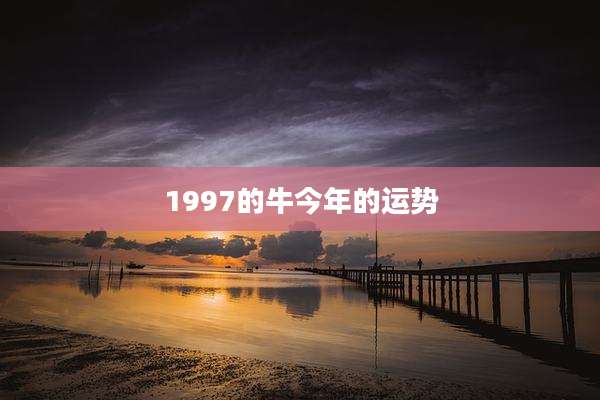 1997的牛今年的运势