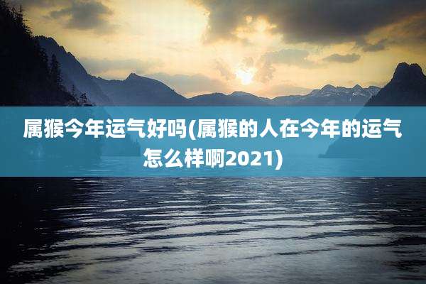 属猴今年运气好吗(属猴的人在今年的运气怎么样啊2021)