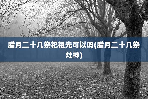 腊月二十几祭祀祖先可以吗(腊月二十几祭灶神)