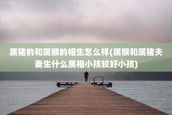 属猪的和属猴的相生怎么样(属猴和属猪夫妻生什么属相小孩较好小孩)