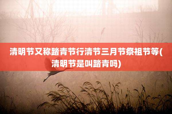 清明节又称踏青节行清节三月节祭祖节等(清明节是叫踏青吗)