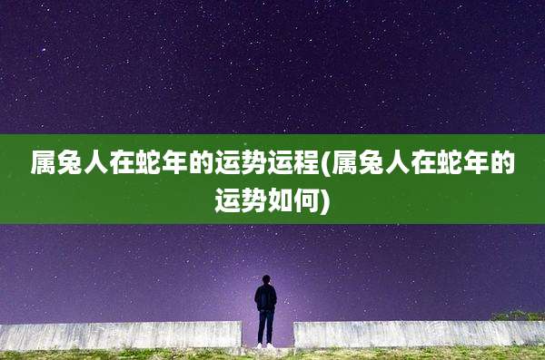属兔人在蛇年的运势运程(属兔人在蛇年的运势如何)