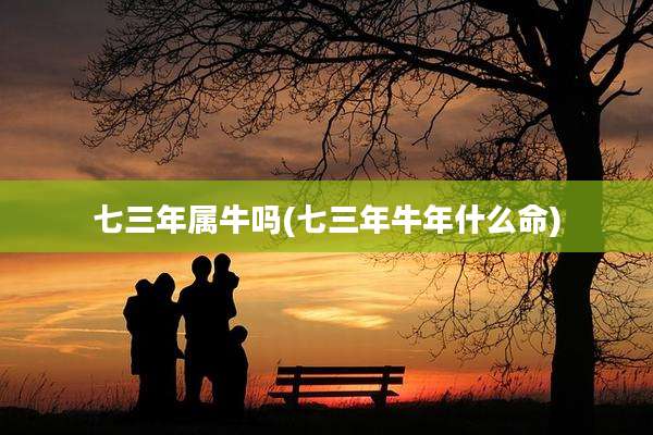 七三年属牛吗(七三年牛年什么命)