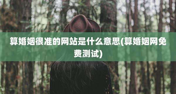 算婚姻很准的网站是什么意思(算婚姻网免费测试)