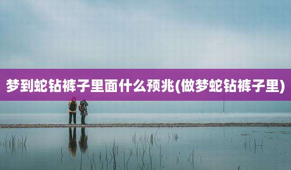 梦到蛇钻裤子里面什么预兆(做梦蛇钻裤子里)