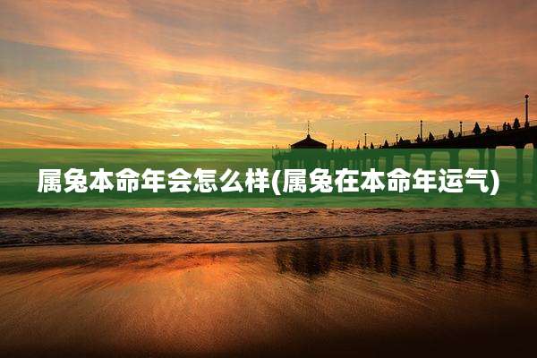 属兔本命年会怎么样(属兔在本命年运气)