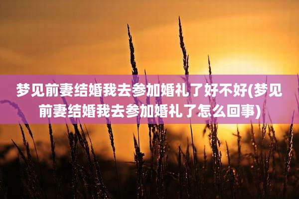 梦见前妻结婚我去参加婚礼了好不好(梦见前妻结婚我去参加婚礼了怎么回事)
