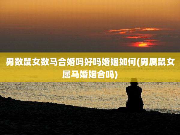 男数鼠女数马合婚吗好吗婚姻如何(男属鼠女属马婚姻合吗)