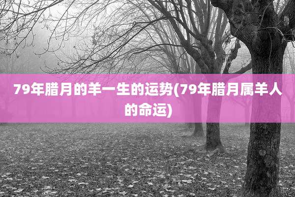 79年腊月的羊一生的运势(79年腊月属羊人的命运)